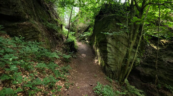 Rodalber Felsenwanderweg im Dreiweiherbachtal