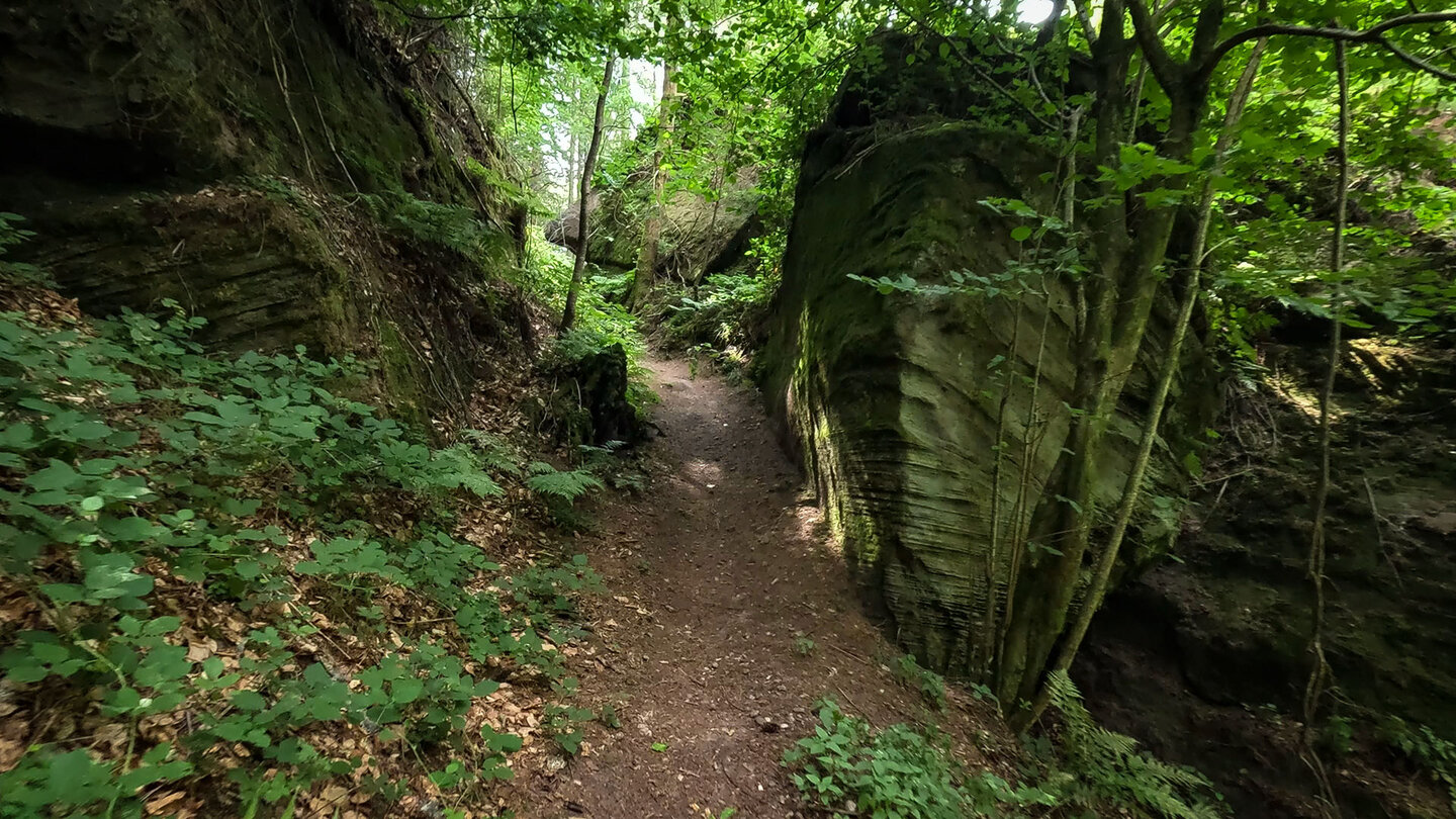 Rodalber Felsenwanderweg im Dreiweiherbachtal
