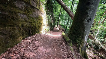 Wanderung am Buntsandsteinband Eisenbörnchen