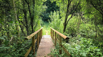 Brücke beim Wiesental Wildgehege bei Rodalben