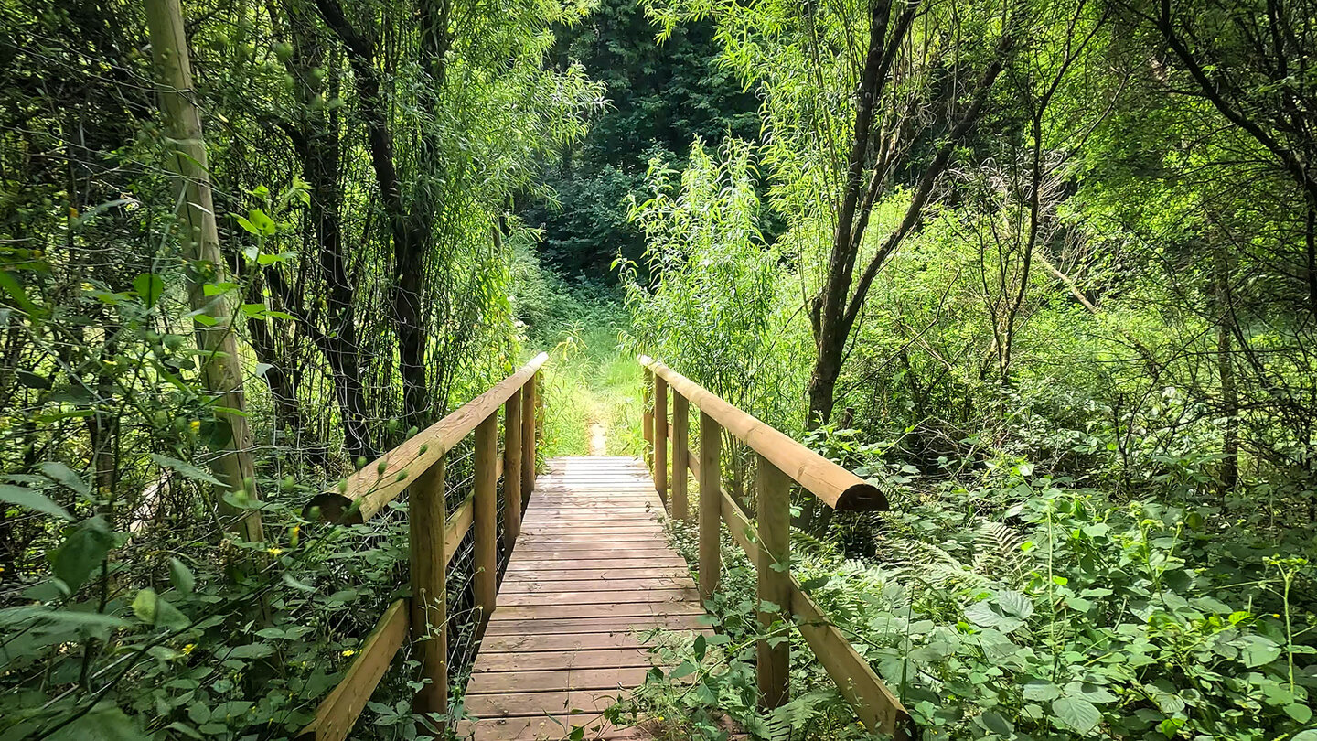 Brücke beim Wiesental Wildgehege bei Rodalben