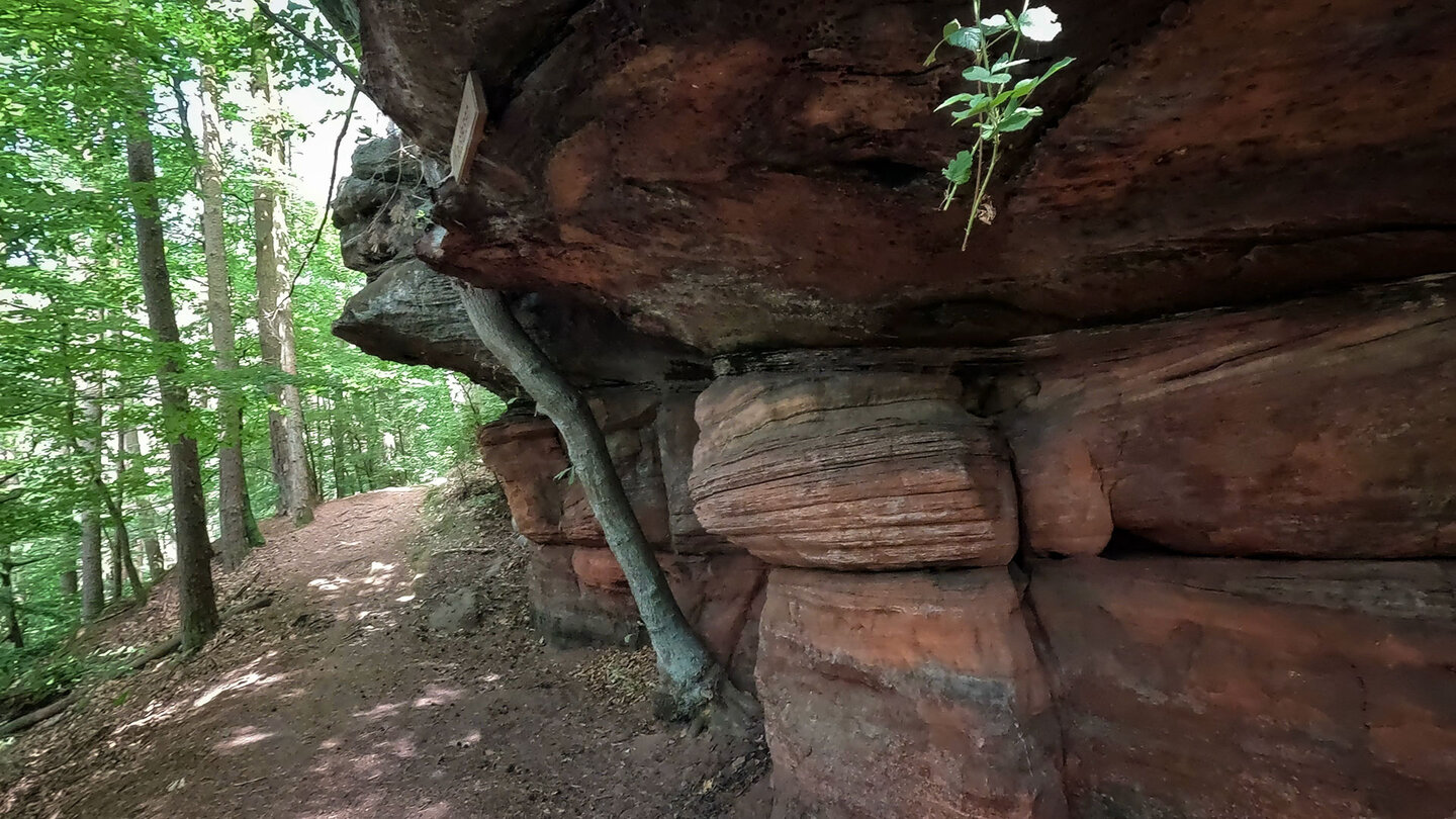 Klausbergfelsen am Rodalber Felsenwanderweg