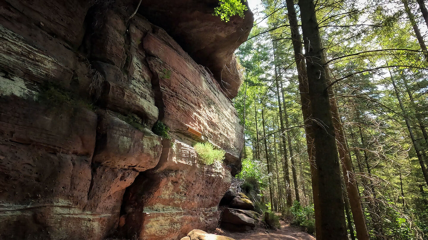 Fuchsfelsen bei Rodalben in der Pfalz