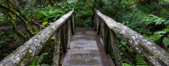 die Holzbrücke Puente de la Madera am Camino de la Llanía