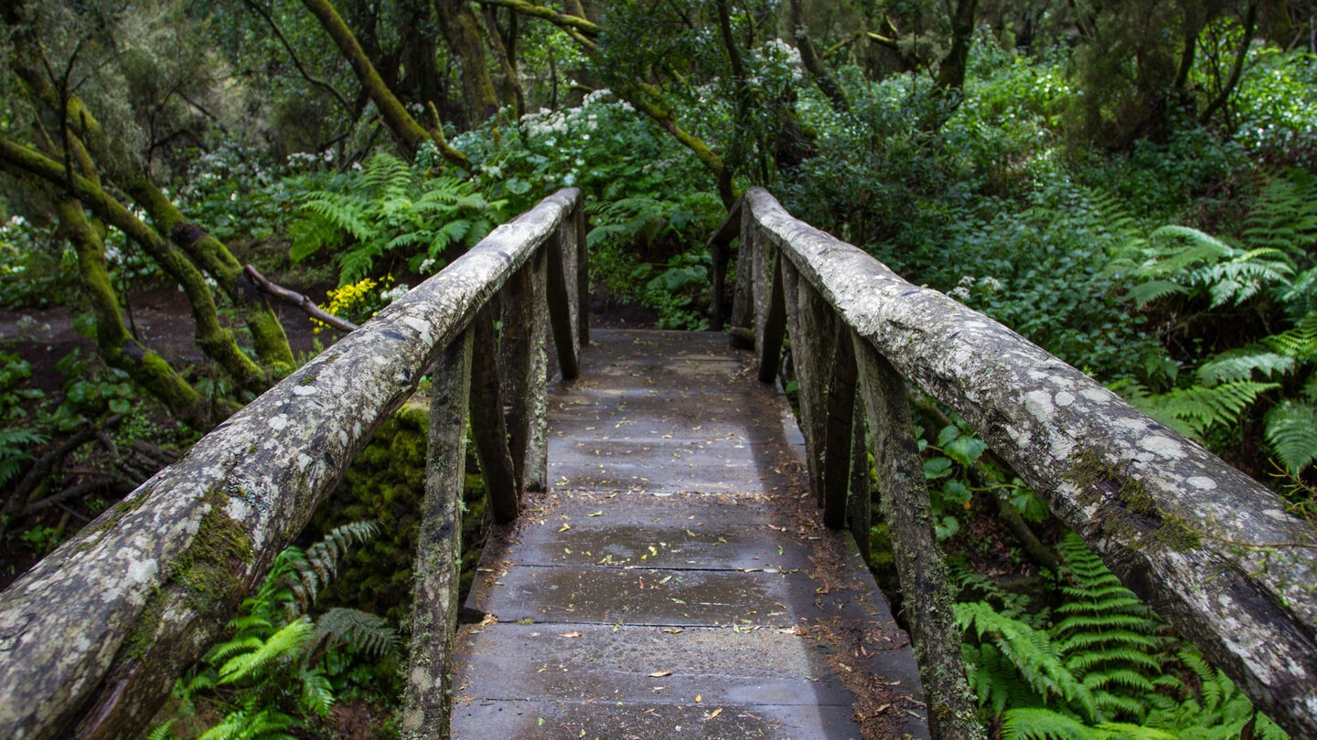 die Holzbrücke Puente de la Madera am Camino de la Llanía