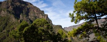 Bergflanke des Pico Bejenado