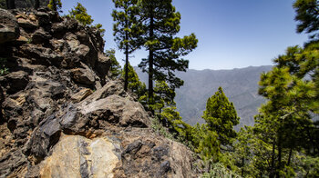 Ausblick in die Caldera bei El Rodeo