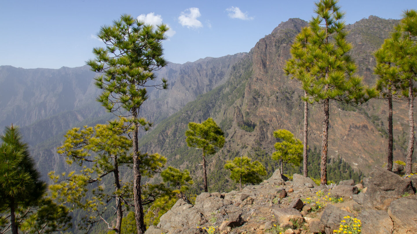 Blick vom Roque de los Cuervos in die Caldera