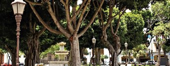 Die Plaza del Adelantado in La Laguna