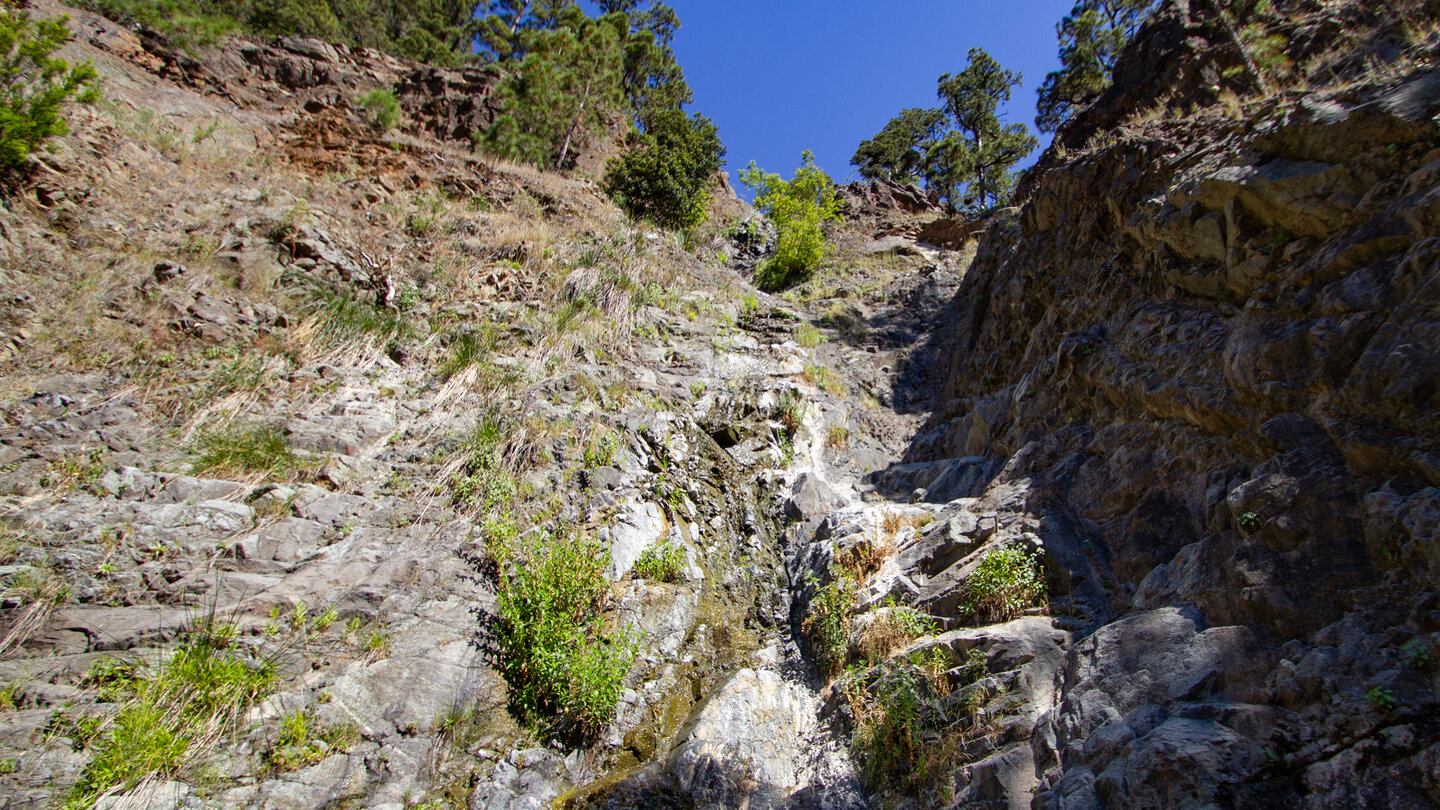 Quellen und Wasserläufe entlang des Wanderwegs