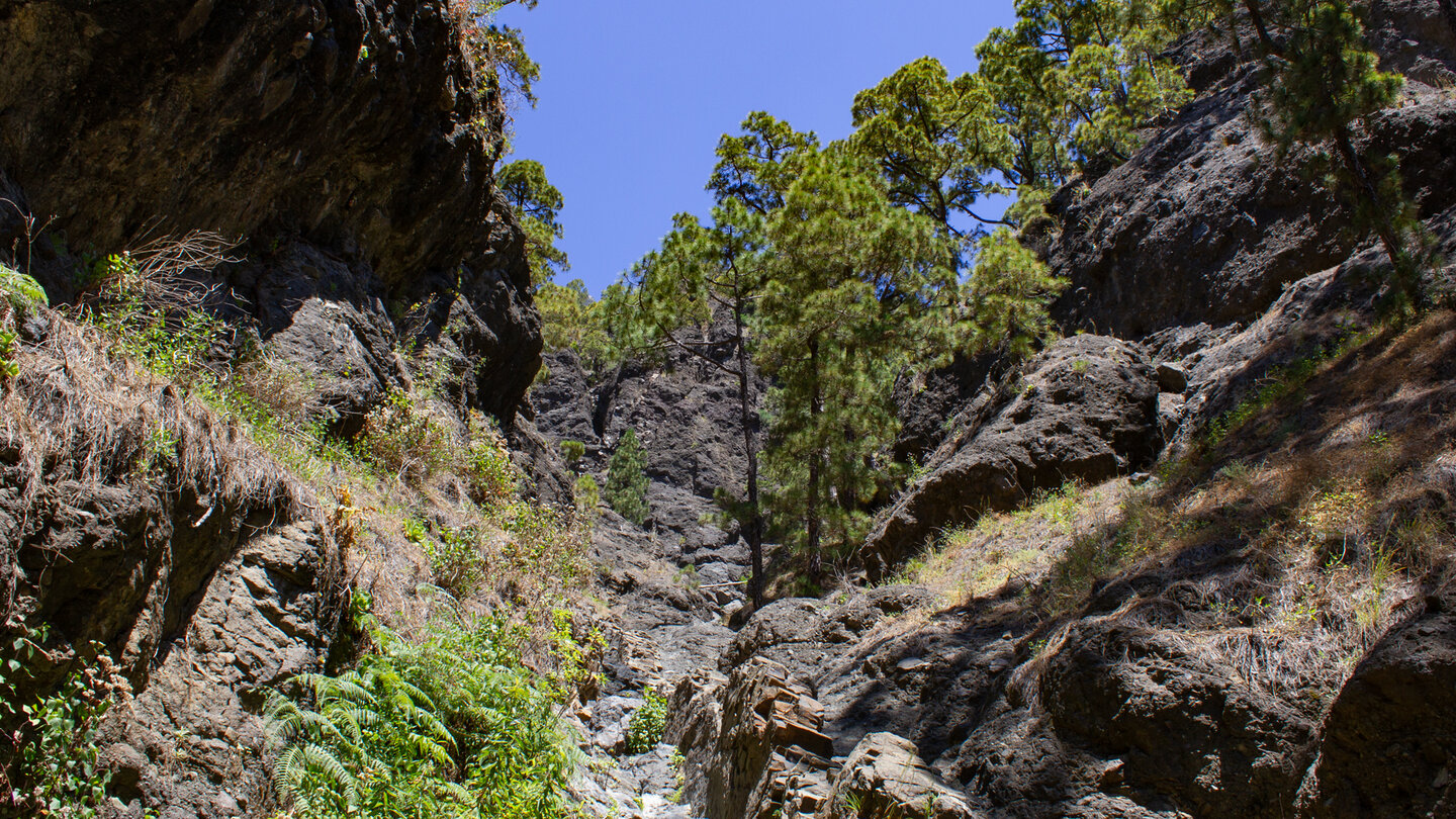 Querung einer Schlucht auf dem Wanderweg PR-LP 13