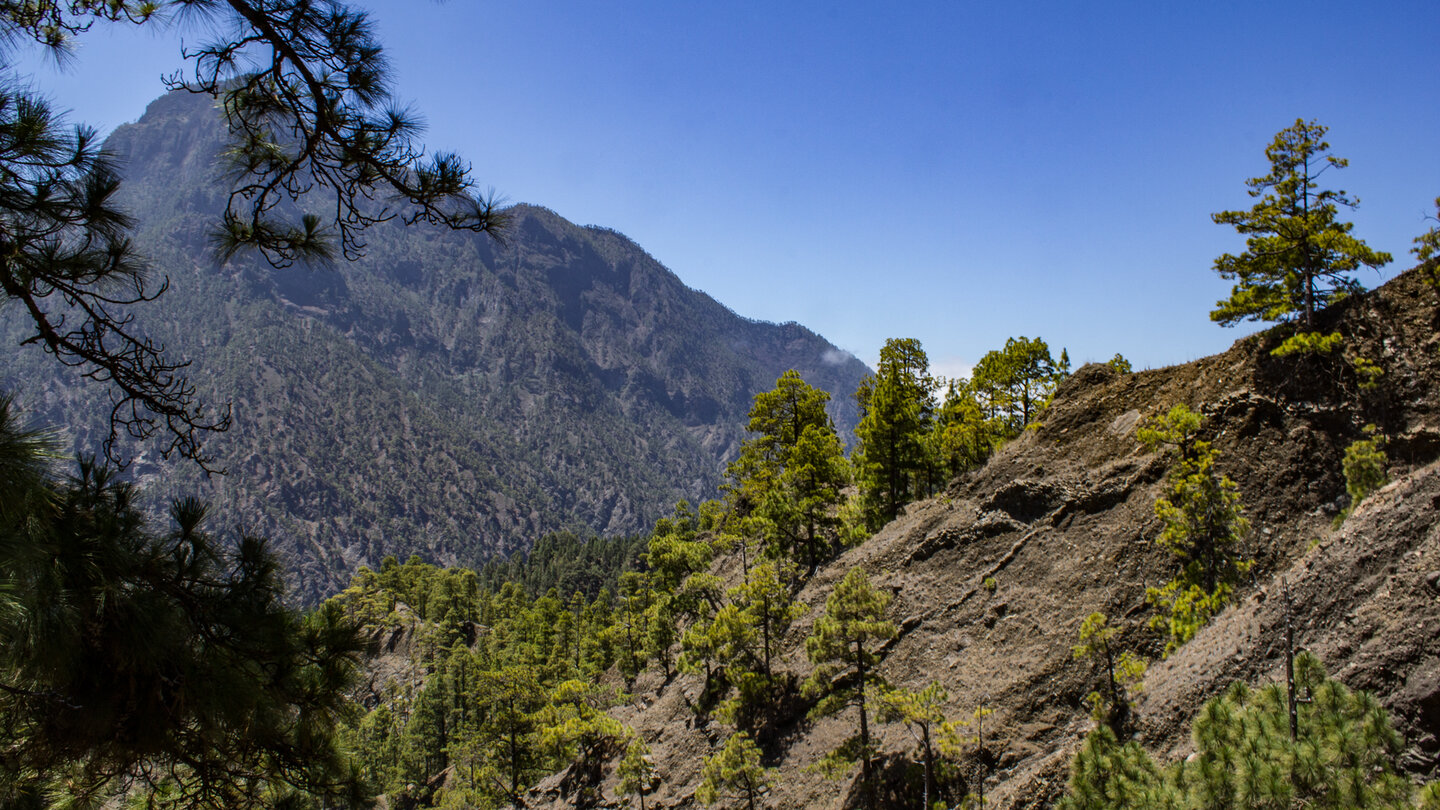 Blick in die Caldera mit dem Pico Bejenado