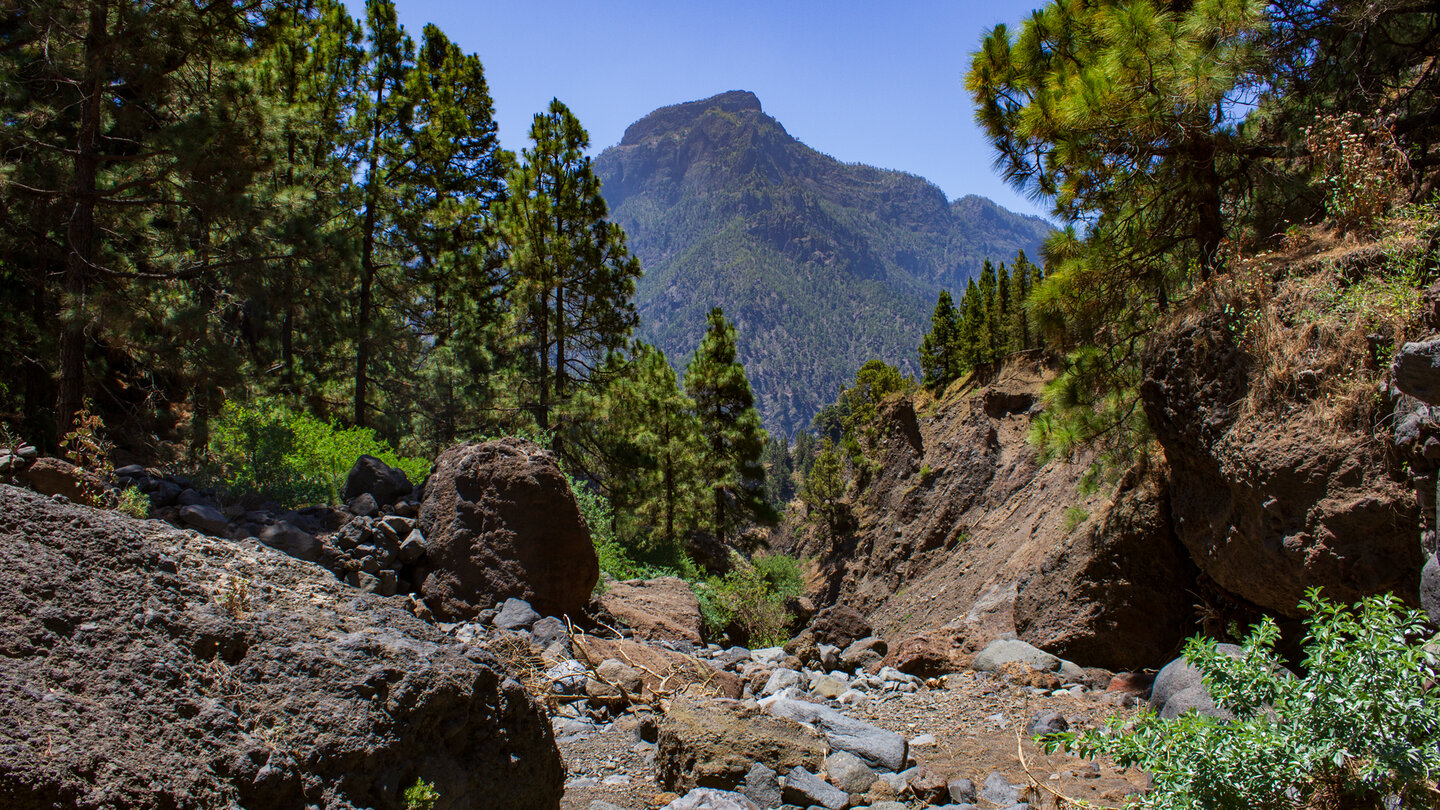 die Schlucht Barranco Bombas de Agua mit dem Pico Bejenado