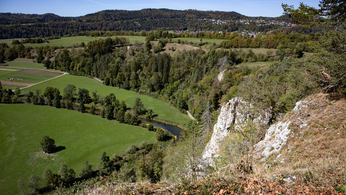 Blick vom Laibfels auf eine Flussschleife der Donau bei Fridingen