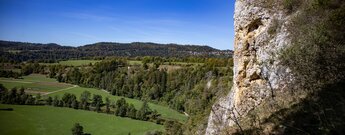 Karstfelswand des Laibfels im Oberen Donautal