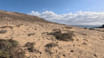 Blick über die Bucht Playa de Puerto Muelas auf Fuerteventura
