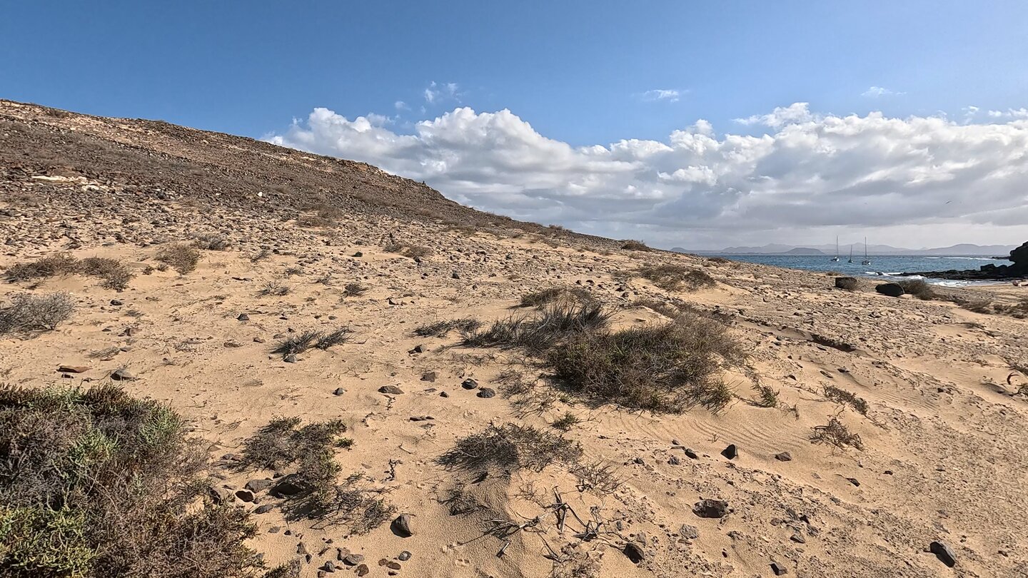 Blick über die Bucht Playa de Puerto Muelas auf Fuerteventura