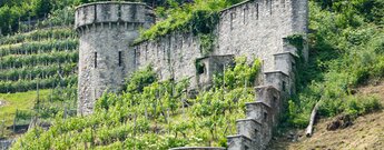 Fortini della Fame in Sementina im Tessin