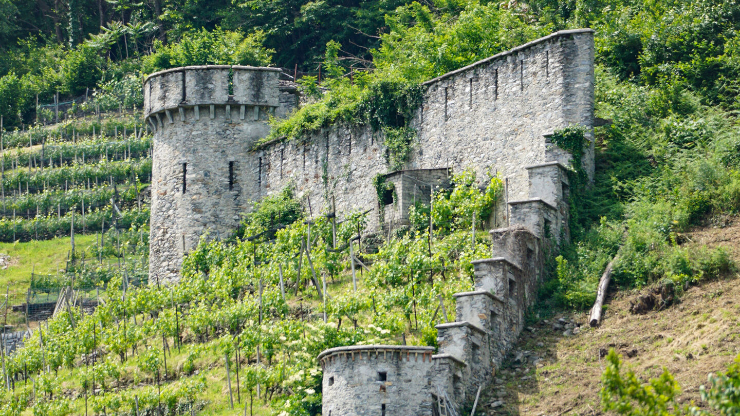 die auch als Hungertürme bekannten Fortini della Fame in Sementina im Tessin Fortini della Fame in Sementina im Tessin