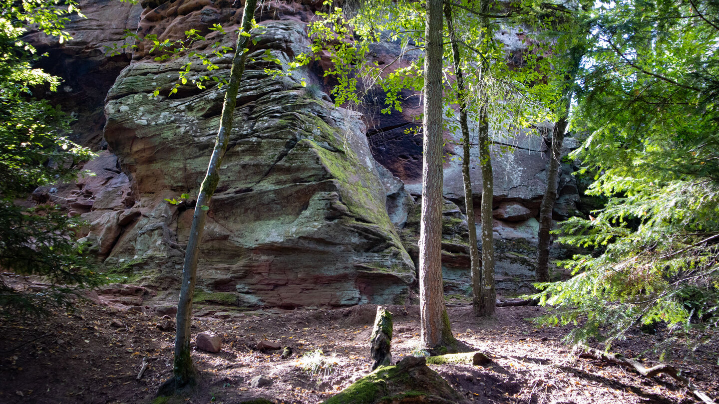 Wanderung entlang der Sandsteinfelsen der Burgruine Waldeck