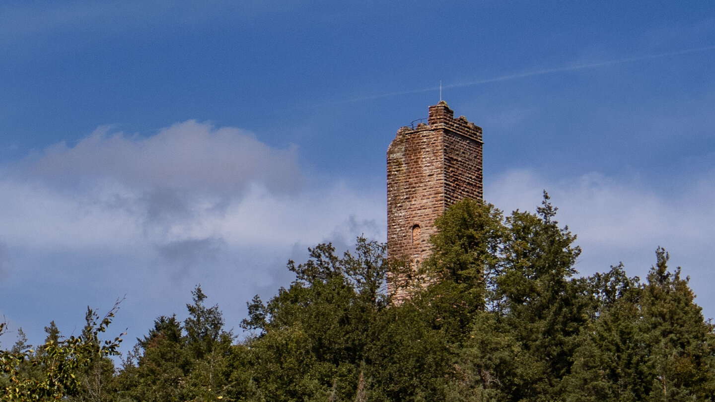 der Turm der Waldeck überragt die Baumgipfel