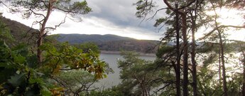 Blick über den Edersee
