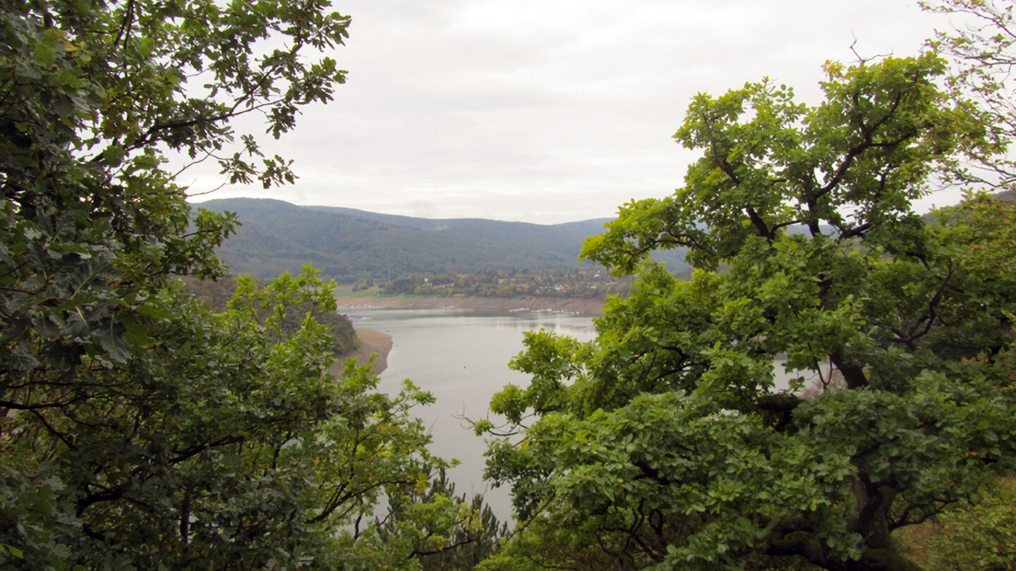 Blick zur Halbinsel Scheid vom Urwaldsteig Edersee Blick zur Halbinsel Scheid