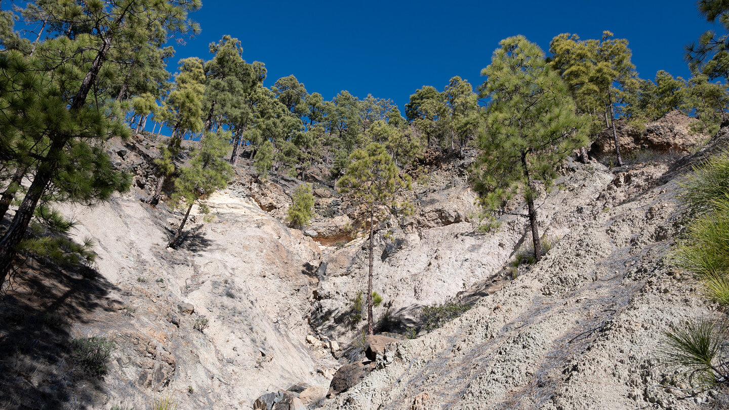 Schlucht nahe der Degollada de Llana Hidalgo Schlucht nahe der Degollada de Llana Hidalgo