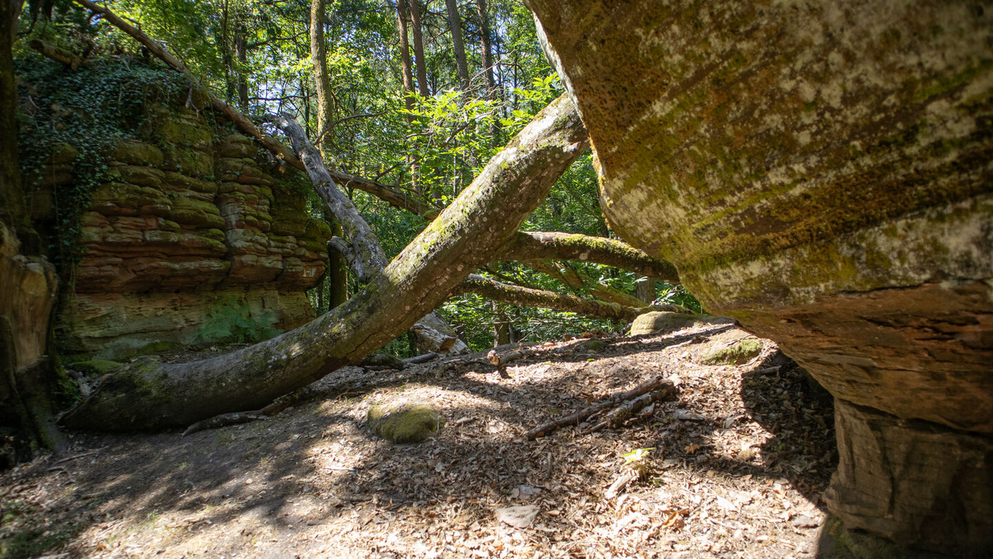 Der Wanderweg führt zwischen den Galgenfelsen hindurch.