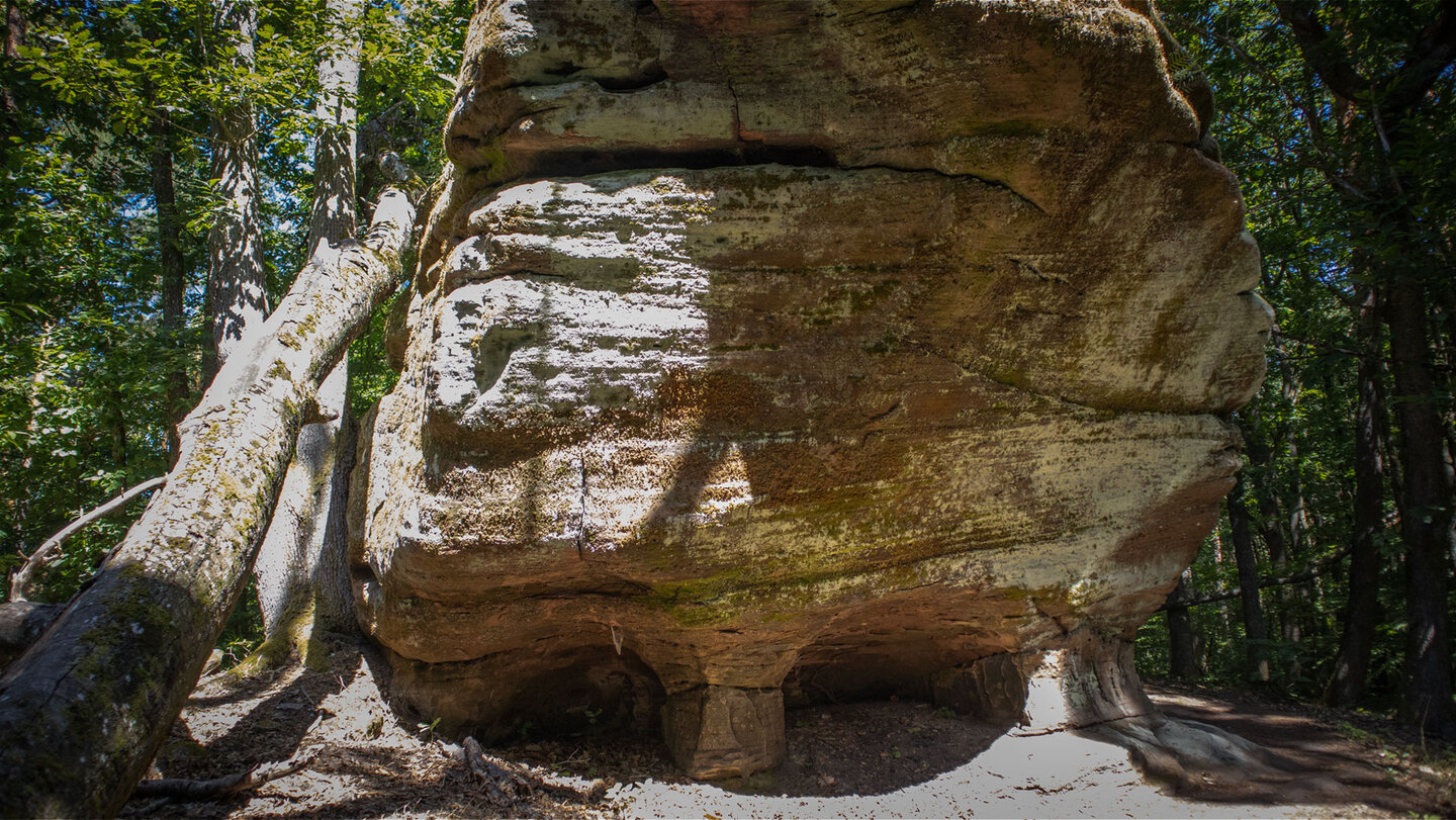 Rillen und Aushöhlungen am Galgenfelsen – stille Spuren einer langen geologischen Geschichte.