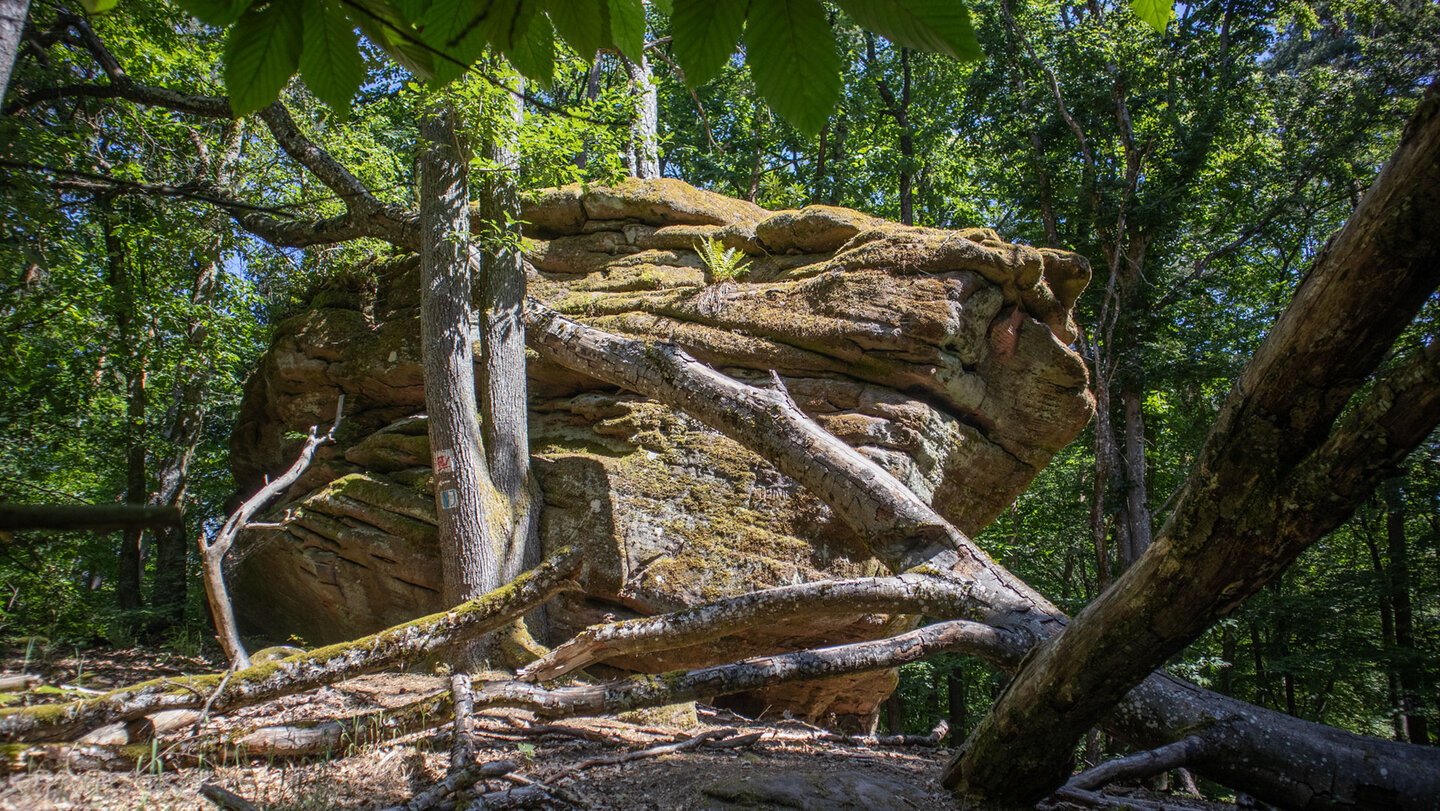 Die verwitterten Galgenfelsen mitten im Wald.