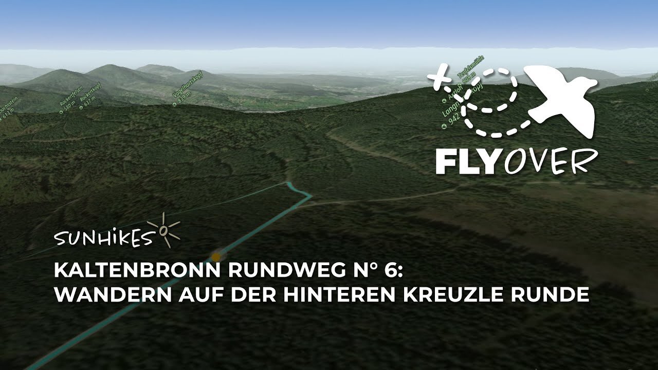 Kaltenbronn Rundweg N° 6: Wandern auf der Hinteren Kreuzle Runde – Flyover