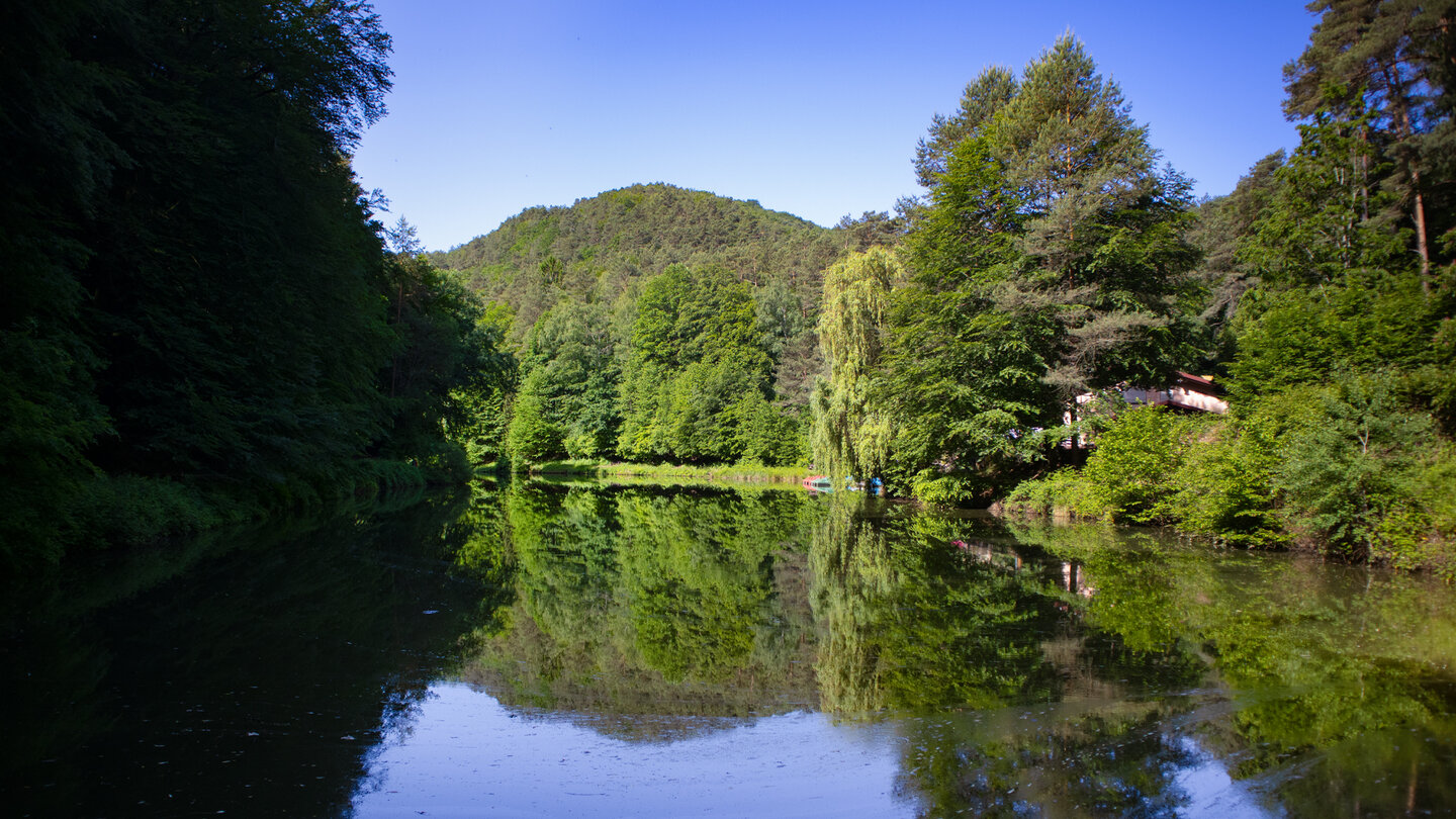 Blick über den Paddelweiher bei Hauenstein