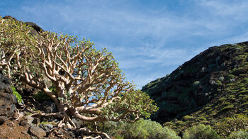 Blick zum Barranco de Fernando Porto