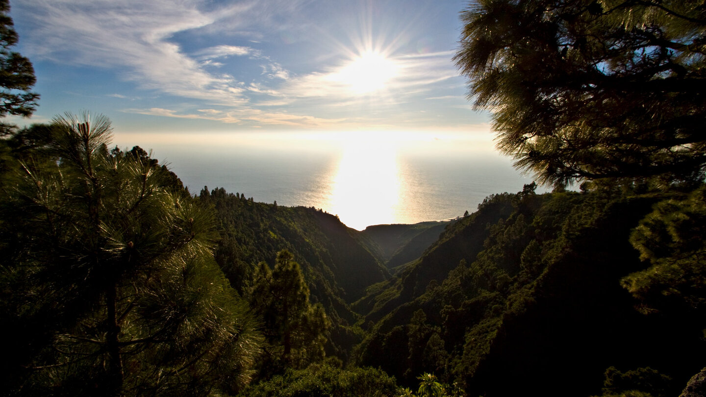 Blick über die dicht bewachsene Schlucht vom Mirador Barranco de Garome