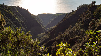 fast unberührte Natur zieht sich durch den Barranco de Garome