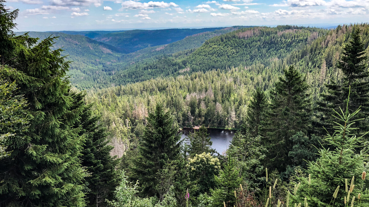 Aussichtspunkt Wildseeblick