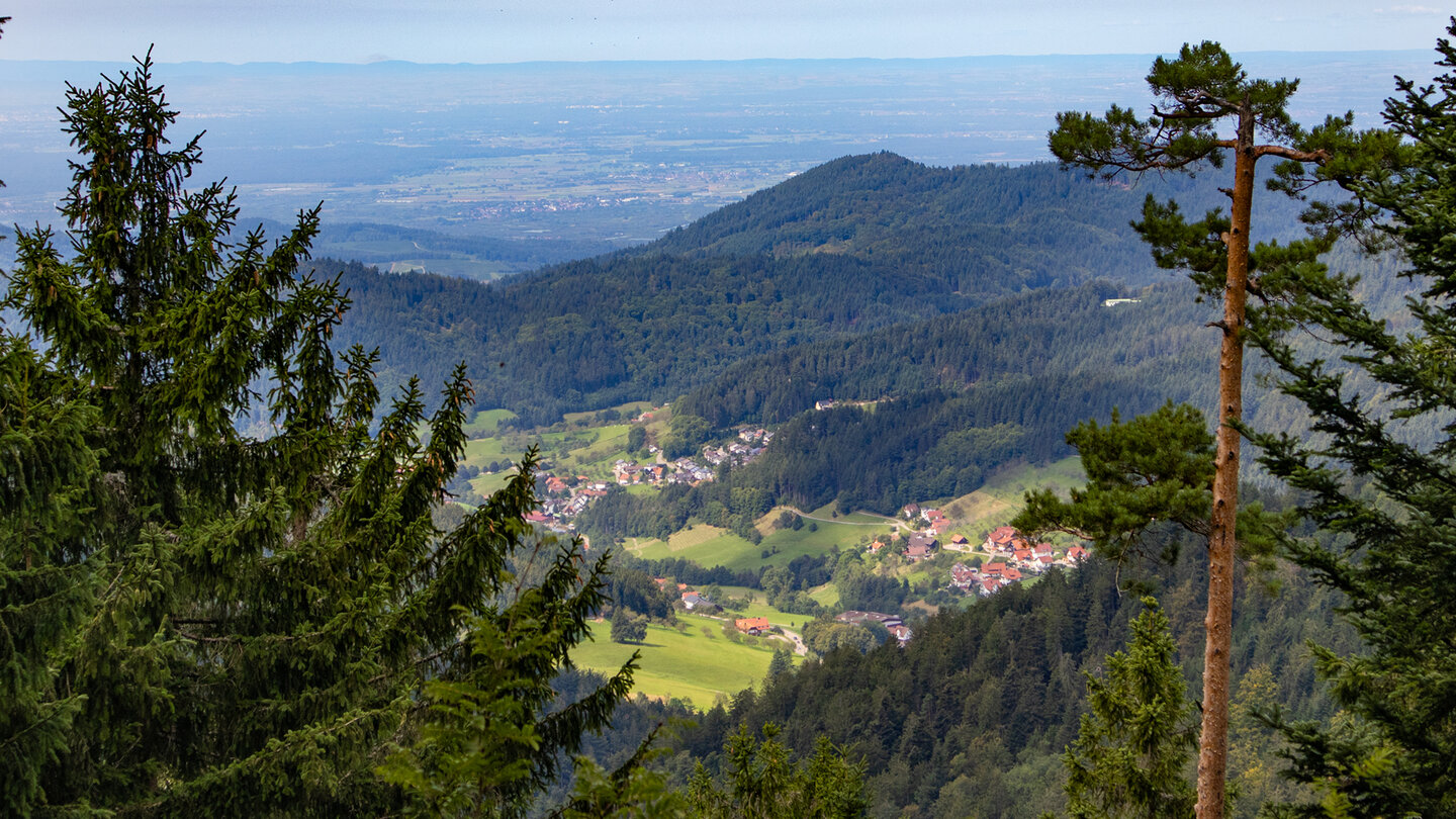 Blick übers Seebachtal