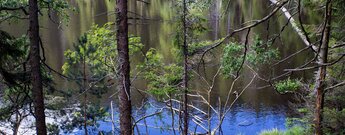 Der Wildsee ist unberührte Natur