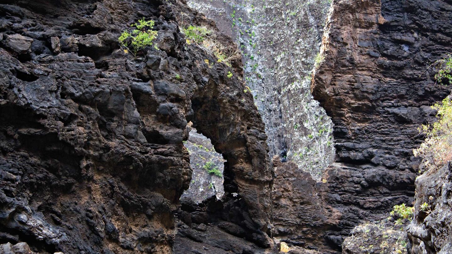 Felsboden in Form eines Elefantenrüssels in der Masca-Schlucht im Teno-Gebirge