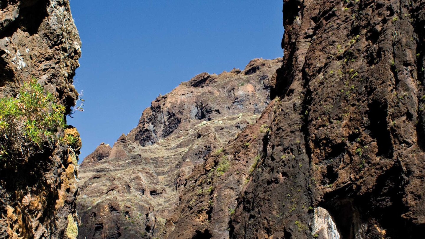 steil abfallende Felswände im Barranco de Masca auf Teneriffa