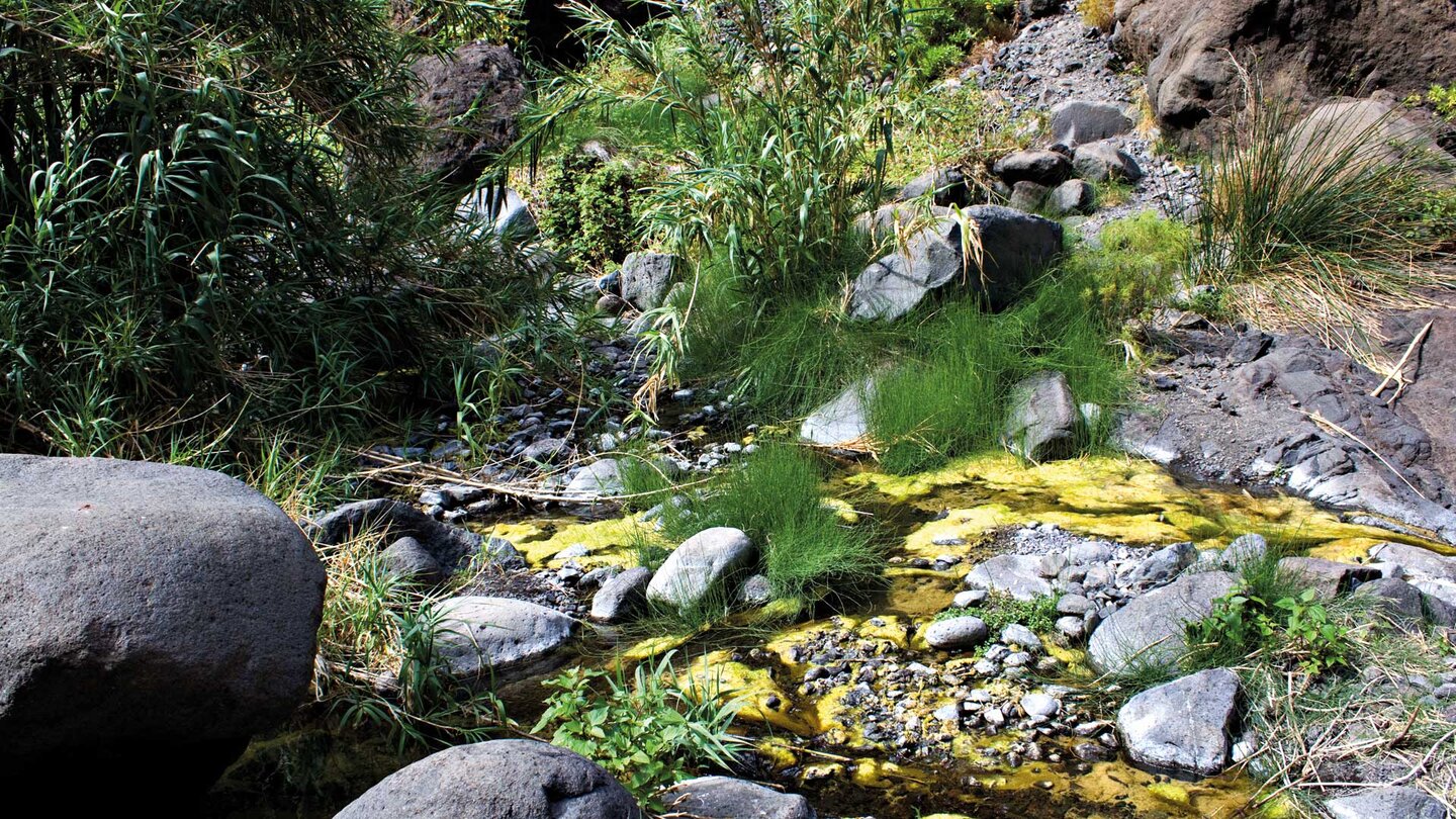 der Wasserlauf am Grund des Barranco de Masca