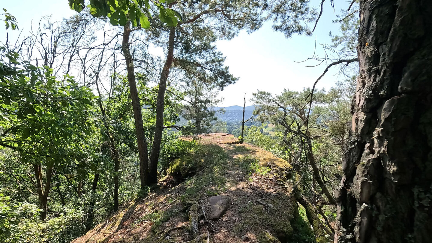 oberer Ausichtspunkt des Rauhbergpfeilers