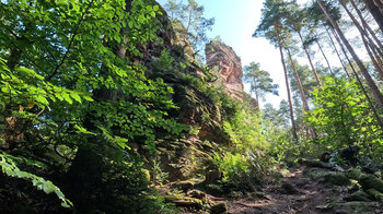 Otto-Wendel-Turm am Spirkelbacher Rauhfels