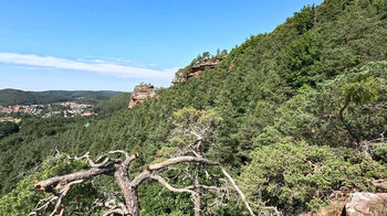 Aussicht vom Rauhbergpfeiler zum Spirkelbacher Rauhfels