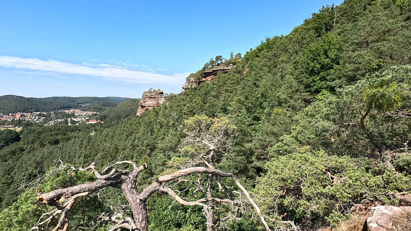 Aussicht vom Rauhbergpfeiler zum Spirkelbacher Rauhfels