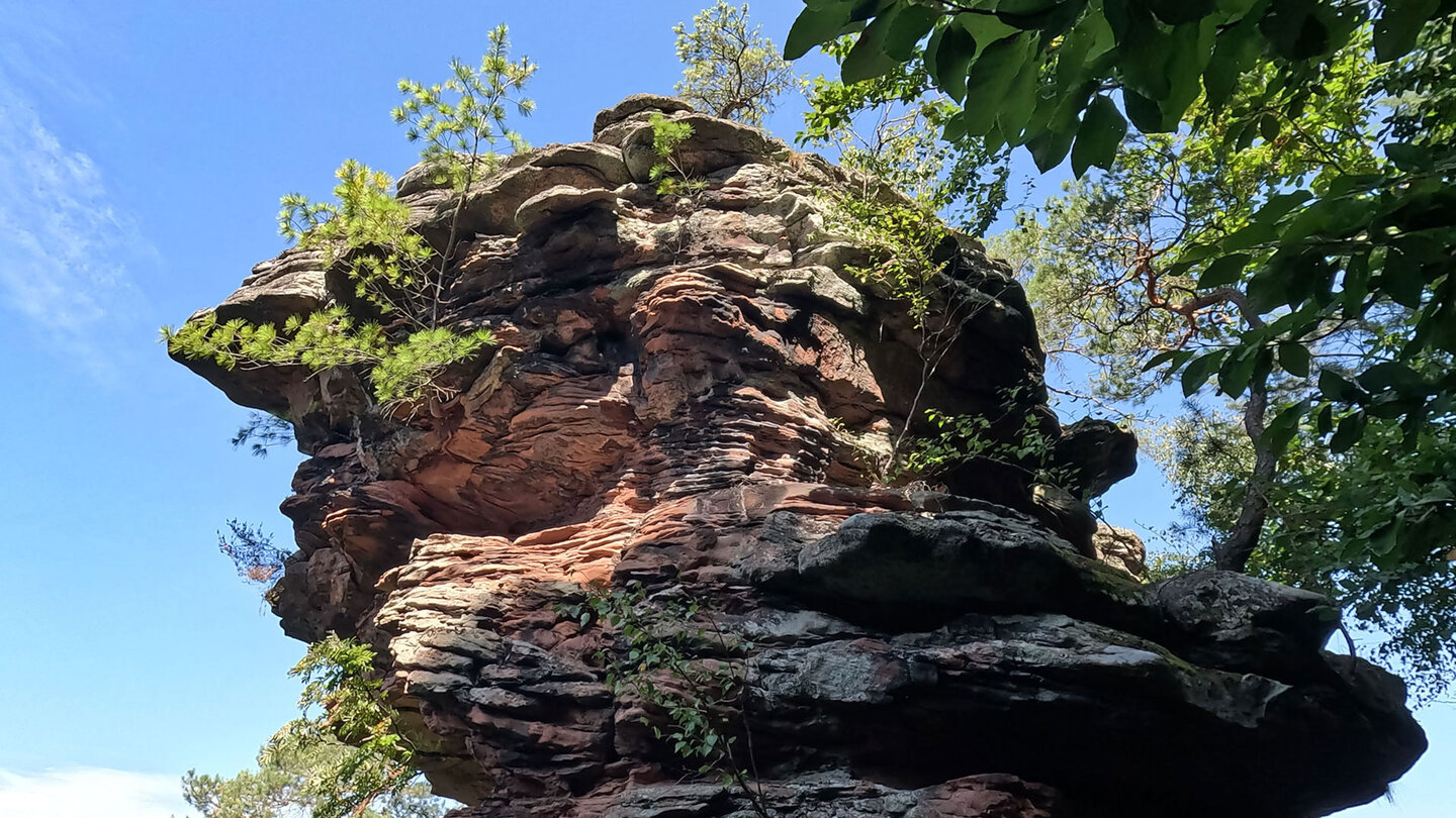 der Krappenfels – auch Rauhbergtürmchen genannt