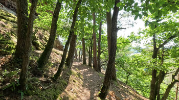 Wanderpfad auf der Spirkelbacher Rauberg-Tour