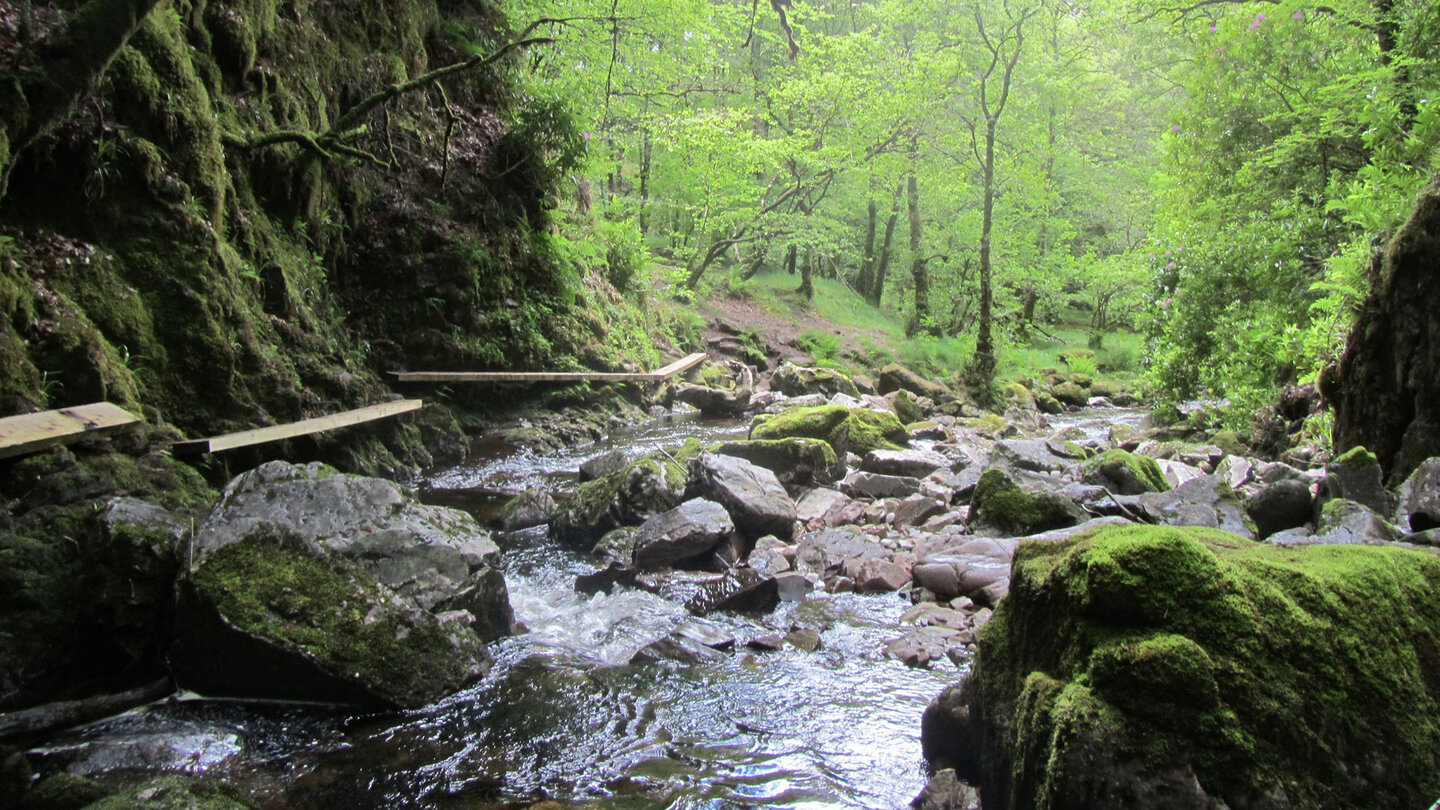 Brettersteg entlang des Bachs Brettersteg entlang des Bachs