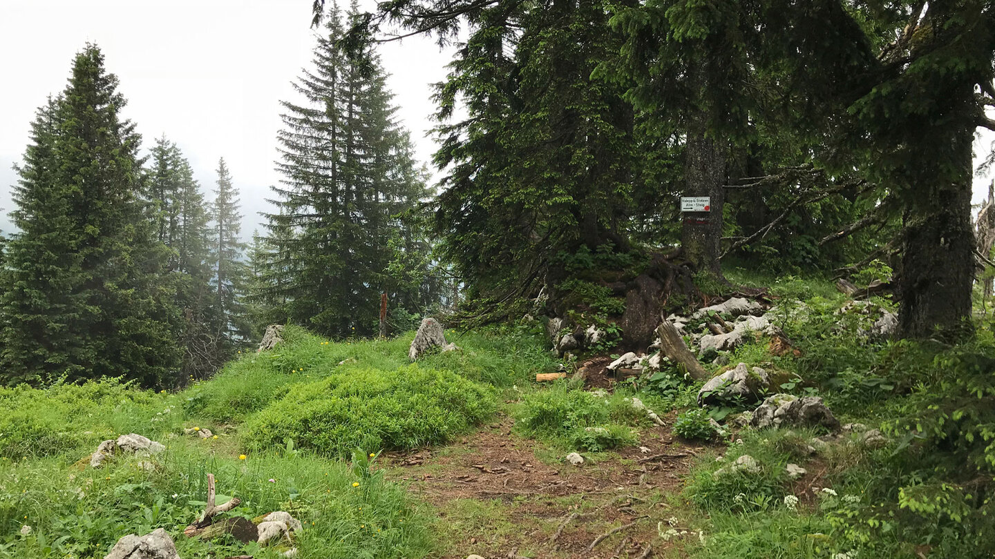 kleines Plateau am Stolzenberg
